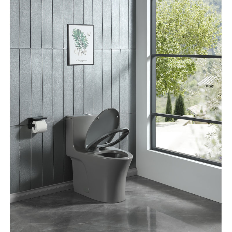Giancarlo Dual-Flush One-Piece Elongated Toilet, Grey