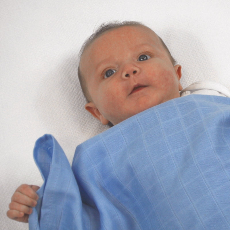 Nottingham MuslinZ 100% Cotton 12 - Piece Muslin Squares, Blue