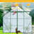 Green-Double Door Greenhouse, Walk-In Greenhouses For Outdoor-122037298-122037297