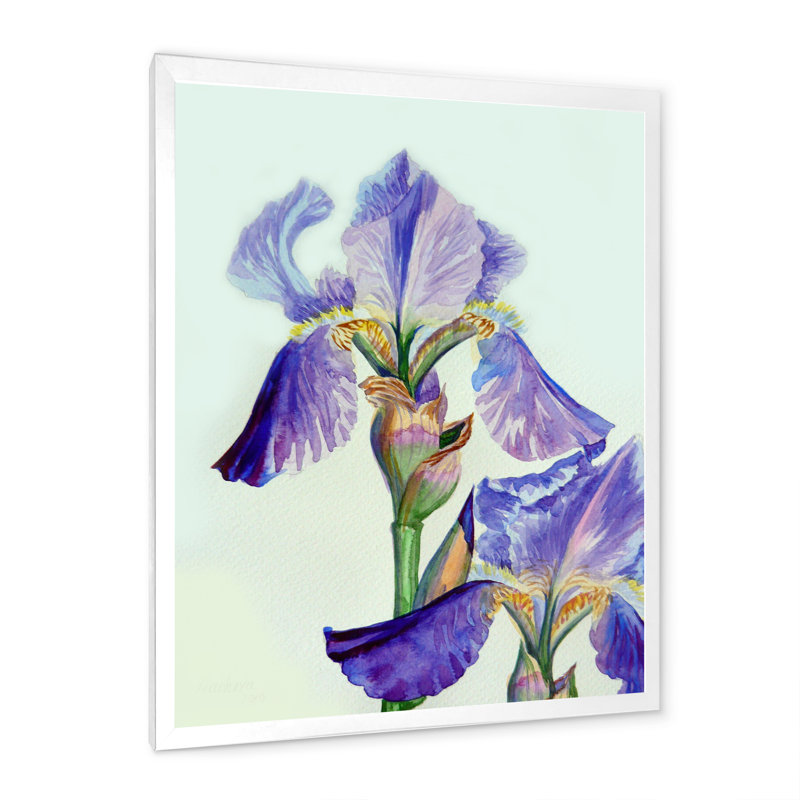 Iris bleu et mauve en été II - décoration murale traditionnelle en toile, Impression blanche sur toile encadrée