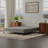 Black And Gray Twin XL Foundation-124135535