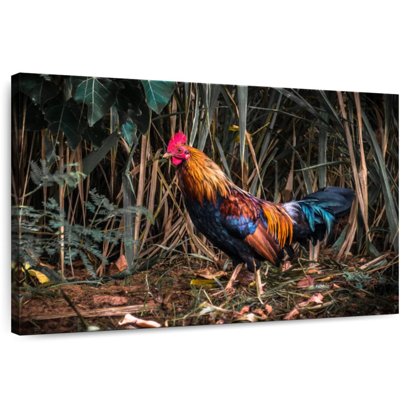 Brampt Lonely Kauai Rooster, 34" H x 51" W
