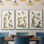 "Antique Birds In Nature I", reproduction sur toile 3 pièces-91887477-91887478