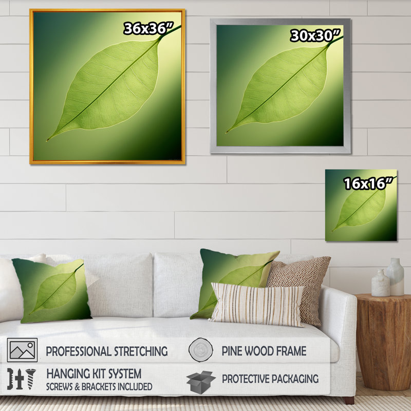 «Lime Lightness Leafy Minimalisme I - Feuilles», impressions sur toile, Cadre flottant doré, H 36 po x l 36 po x P 1,5 po