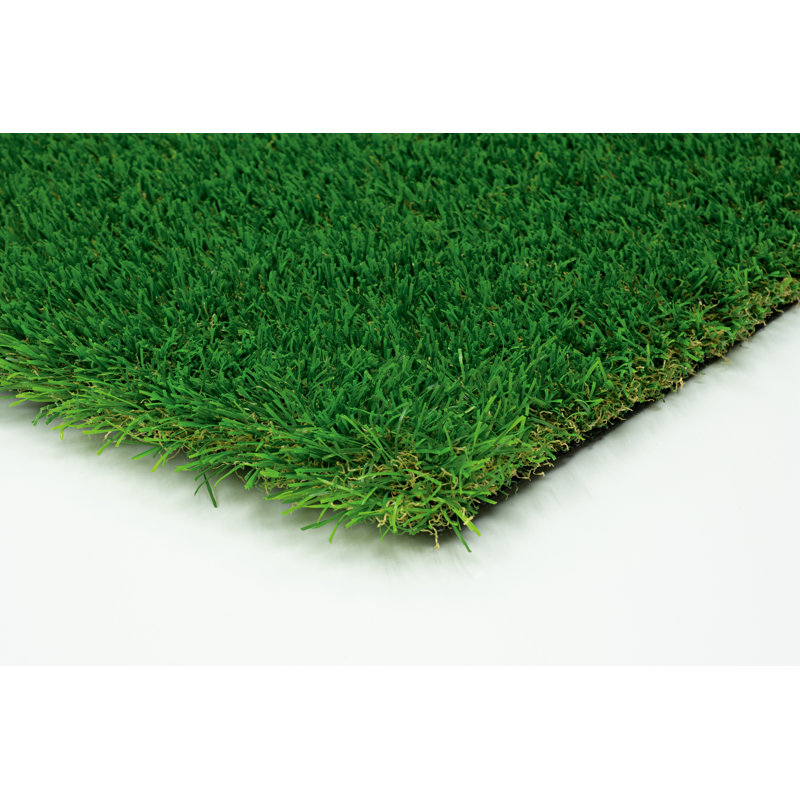 SAMPLE-55oz Sports/Pet Landscape Turf