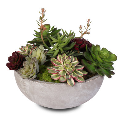 Faux Succulent Plant in Pot