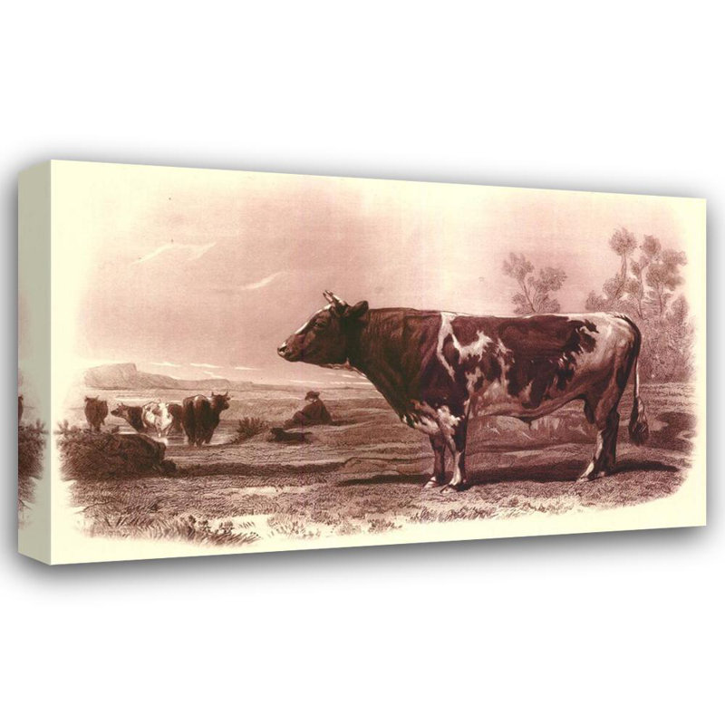 Bovine III