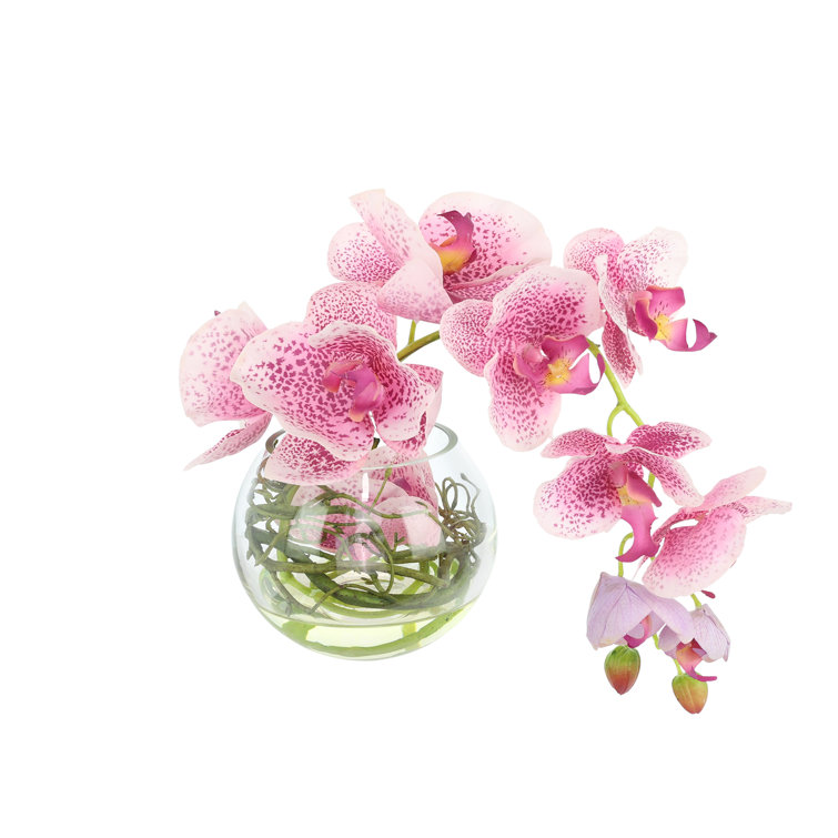 Orchids Arranged With Vines In A Clear Glass Bubble Bowl