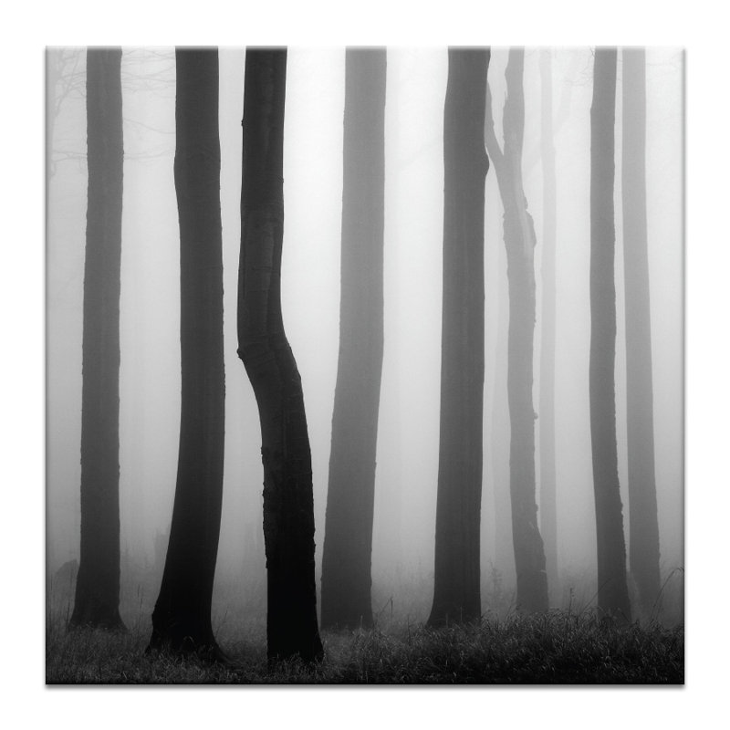 Print on Canvas, 102cm H x 102cm W, Wrapped Canvas