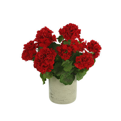 UV Protected Potted Geranium Arrangement