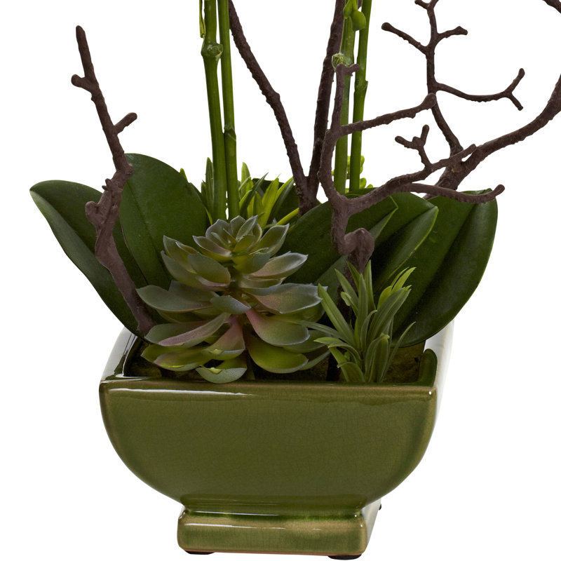 Arrangement in Planter