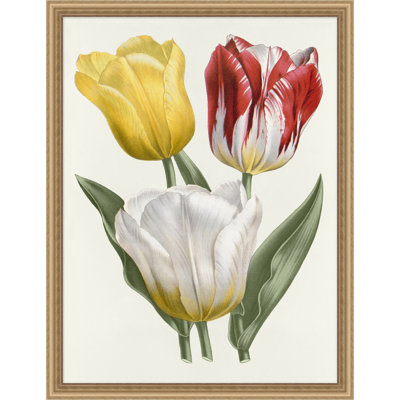 Colorful Traditional Blooms 1 Print