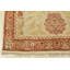 Hand Knotted Wool Oriental Indoor Rug