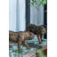 Élégant décor de statue de tigre exotique pour un accent élégant
