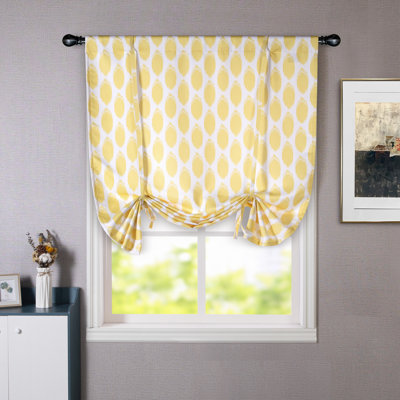 Allen Room Darkening Curtain Single Panel