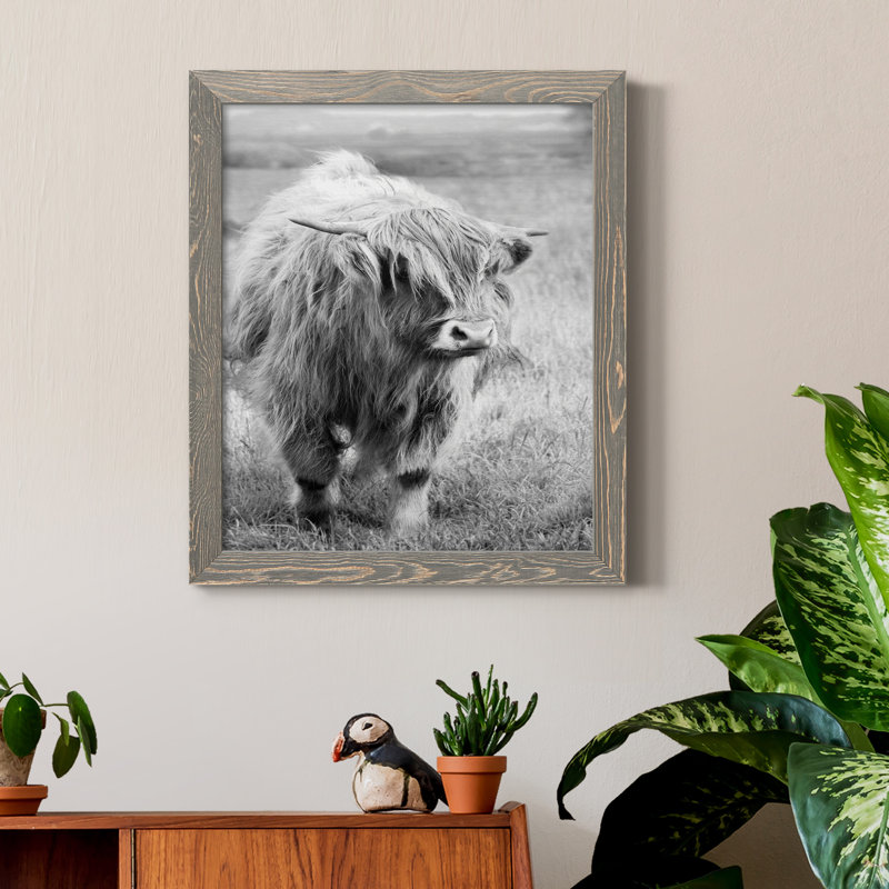 Gretna Green Highland - Photographie de cadre photo sur toile, H 20 po x l 17 po x P 1,5 po, Encadré gris