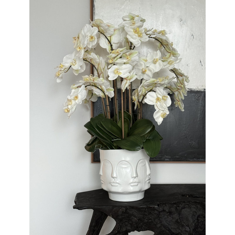 Matte Visage Vase With White Orchids