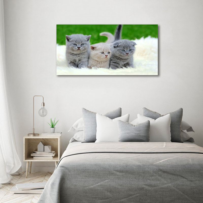 Three Cats On A Blanket - Print, Wrapped Canvas, 70cm H x 140cm W x 2cm D