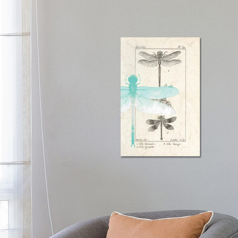 Field Guide I by Kimberly Allen - Print on Canvas, Wrapped Canvas, 66.04cm H x 45.72cm W x 1.91cm D