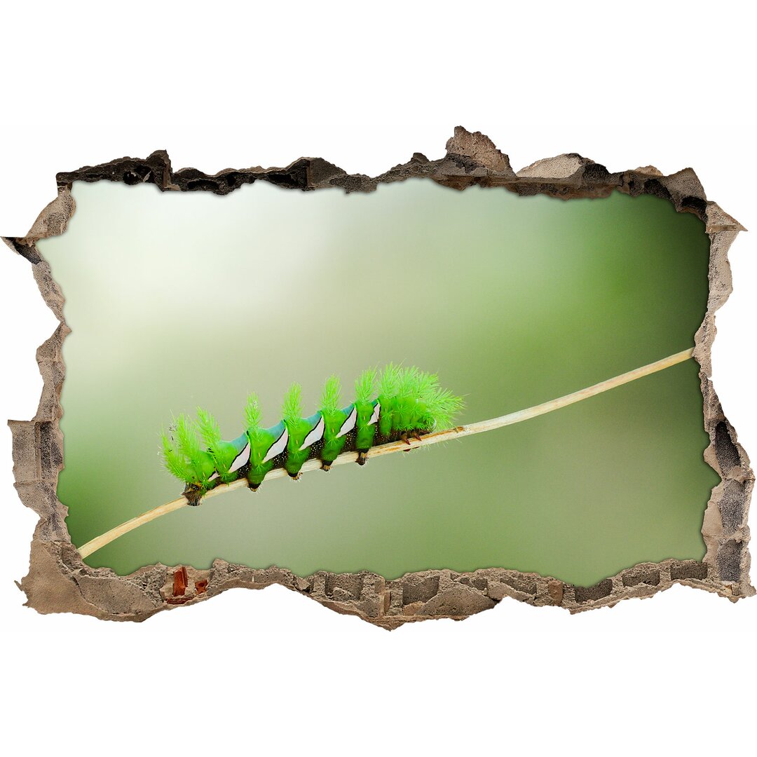 Tiny Green Caterpillar Wandaufkleber