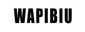 Logo WAPIBIU
