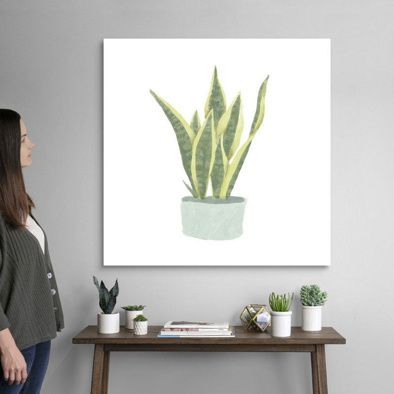 Art mural sur toile Snake Plant III, H 36 po x l 36 po, Toile tendue