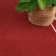 Nourison Essentials Brick Ivory Indoor/Outdoor Area Rug