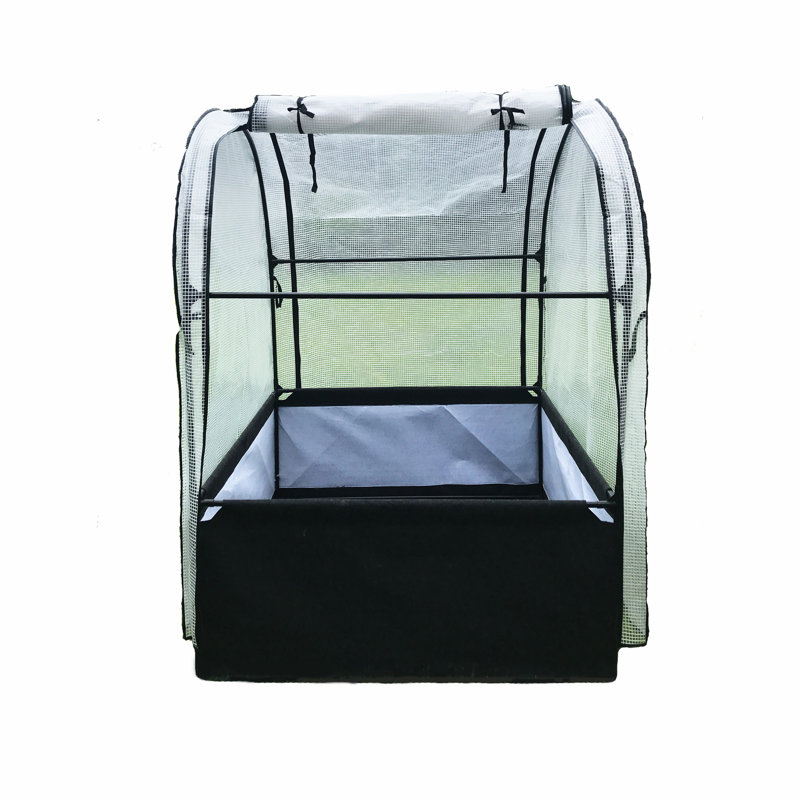 44'' W x 44'' D Cold Frame
