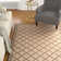 Ferrill Linden 100 Performance Geometric Indoor/Outdoor Area Rug