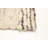 Sienna Ivory Rug 5'2" x 7'8"