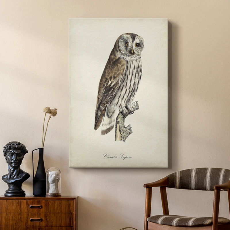 French Owls III - Gallery Cavas sur mesure, H 18 po x l 12 po
