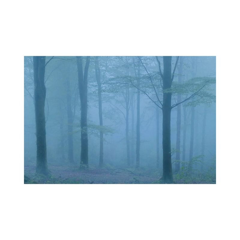 Into The Blue by Adam Burton - Wrapped Canvas Print, 20.32 cm H x 30.48 cm W