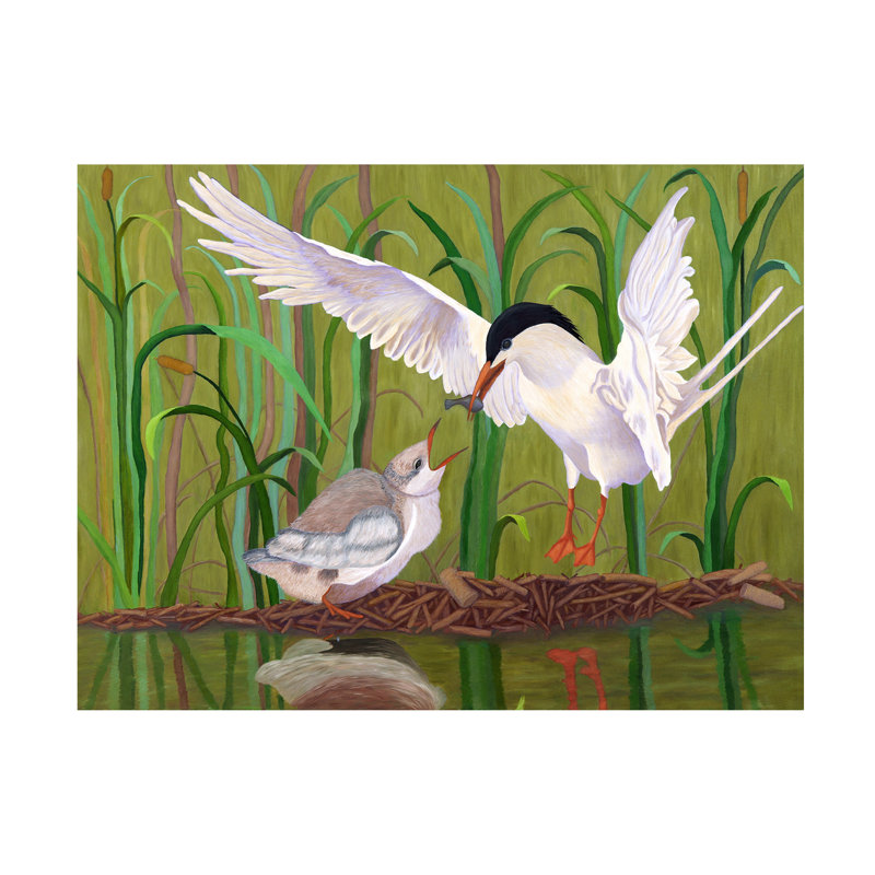 Art mural sur toile tendue - "Royal Tern Nourrir bébé" par Barbara Fallenbaum pour décoration de salon, de chambre à coucher ou de bureau - 14 x 19