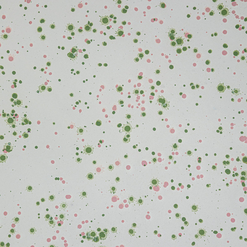 Plateau en métal émaillé Mint Splatterware
