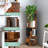 Tashani 4 Tiers Rotating Bookshelf, Floor Standing Bookcase, Corner Organizer Display-199625190