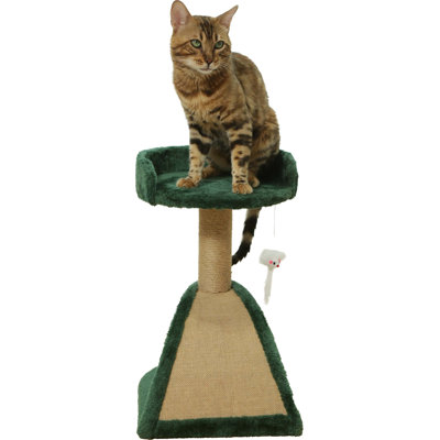 Crête douillette Pampur Paws