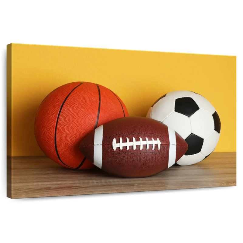 Team sports balls Sireci, H 16 po x l 24 po
