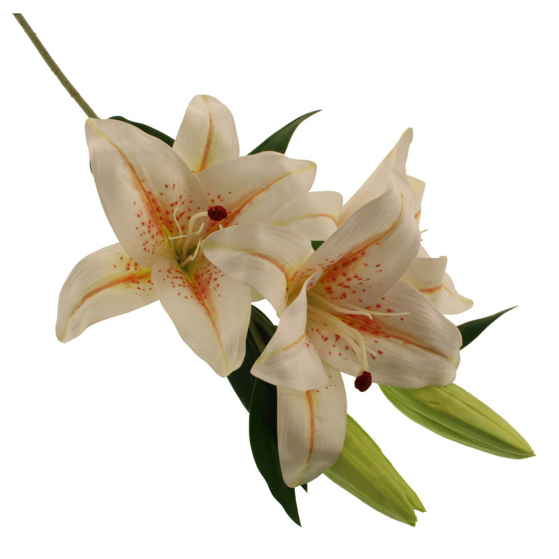 Lillies Arrangement, Cream/Peach