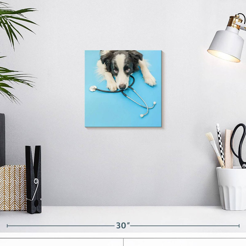 Brampt Dog Doctor, H 10 po x l 10 po