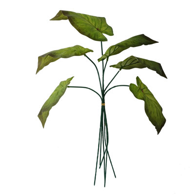 Andarius Arrangement