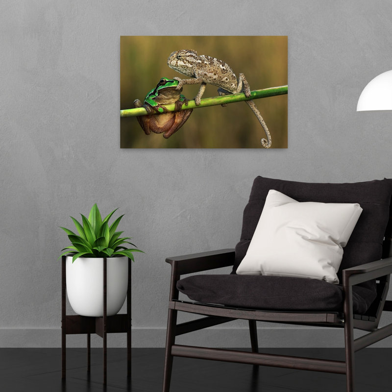 Curious Chameleon Frog Contemporary Frog Wall Art Print 1 Piece Wrapped Canvas Wall Art, 40.64cm H x 60.96cm W