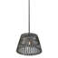 Peach Basket 1 - Light Pendant