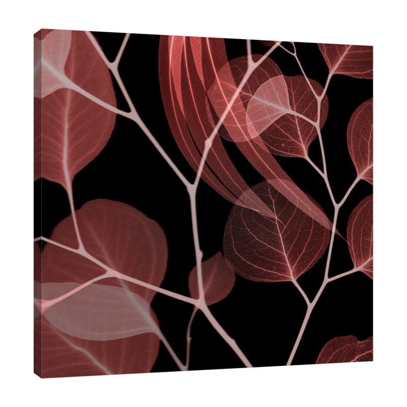 "Coral Infusé Eucalyptus 1", toile tendue par Albert Koetsier, H 12 po x l 12 po x P 1,5 po