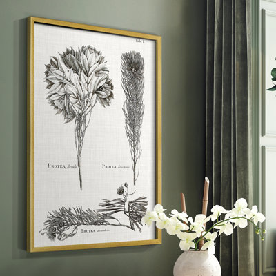 Protea on Linen I noir et blanc, reproduction encadrée - bois massif