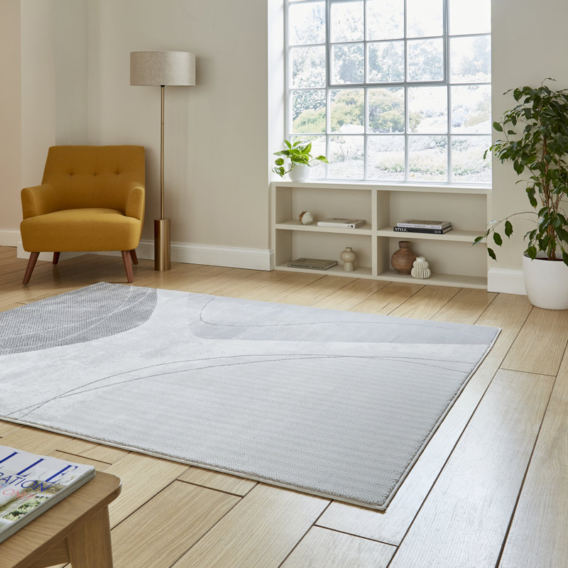 Apollo area rug Machine Woven Rectangle, Rectangle 120 x 170cm
