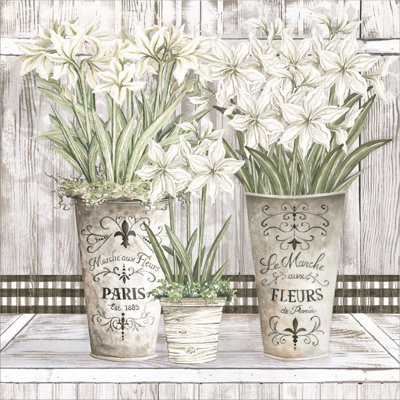 «Amaryllis Multi Pots» par Cindy Jacobs, art mural encadré