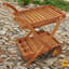 Afrin Dakota Fields Bar Cart with Solid Wood Outer Material