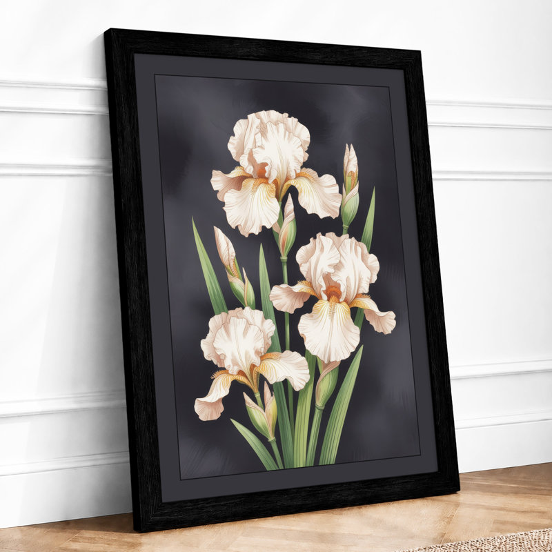 Three Pale Iris Botanical - Framed Print, A1 - 84.1 x 59.4 cm, Black