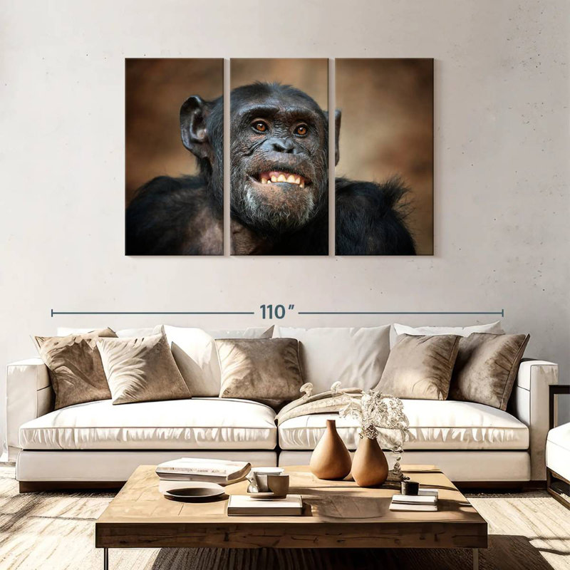 Drôle de chimpanzé