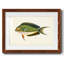 Collection de poissons tropicaux I-787608199-787608216